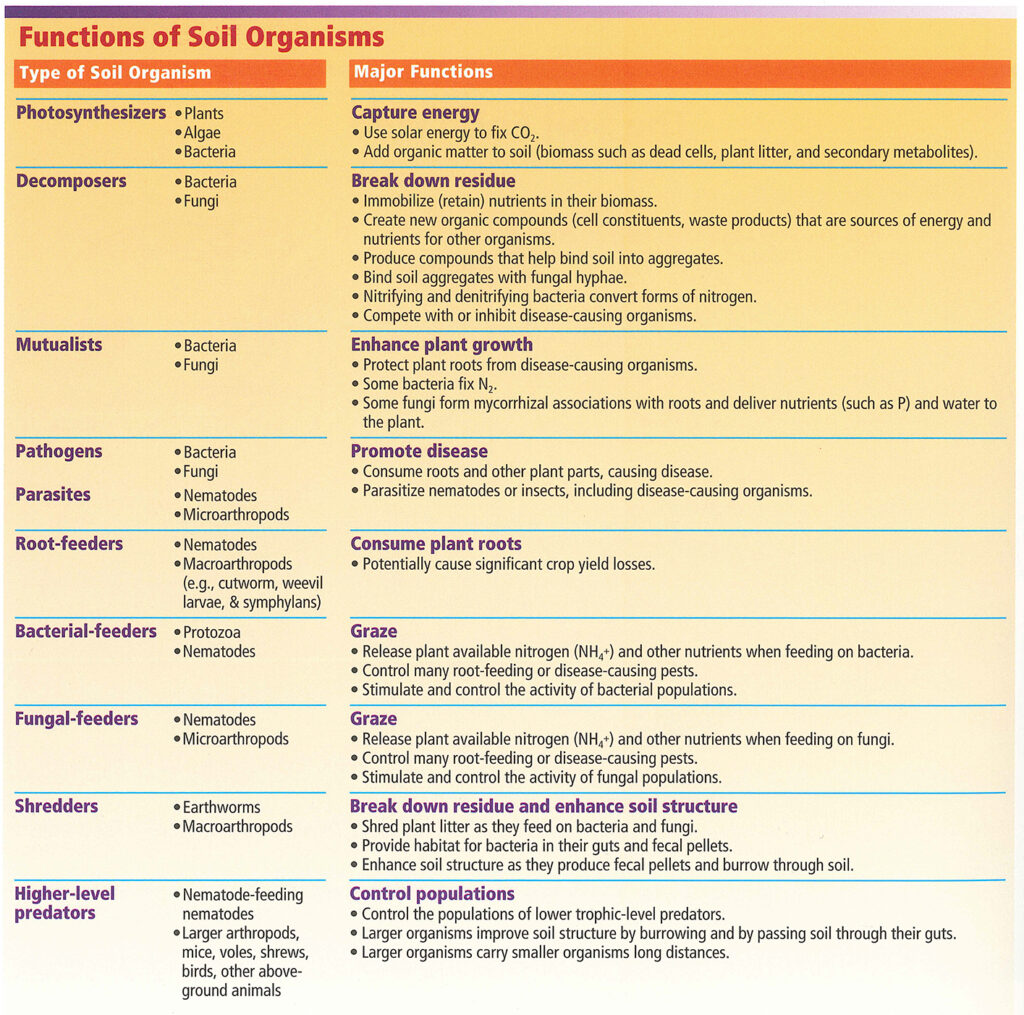 Functions of soil organisms