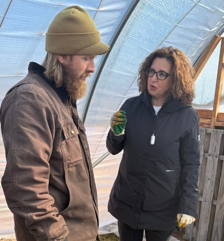 Field consulting